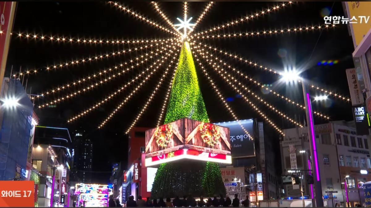 釜山好夯!外國旅客首破300萬 冬季燈樹節璀璨登場