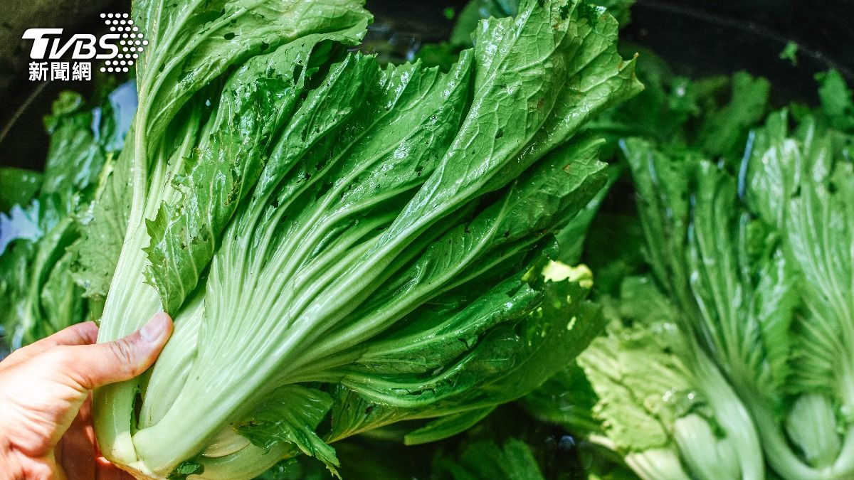 感冒後期神救援!中醫曝「芥菜+1物」甩乾咳:僅限這階段飲用