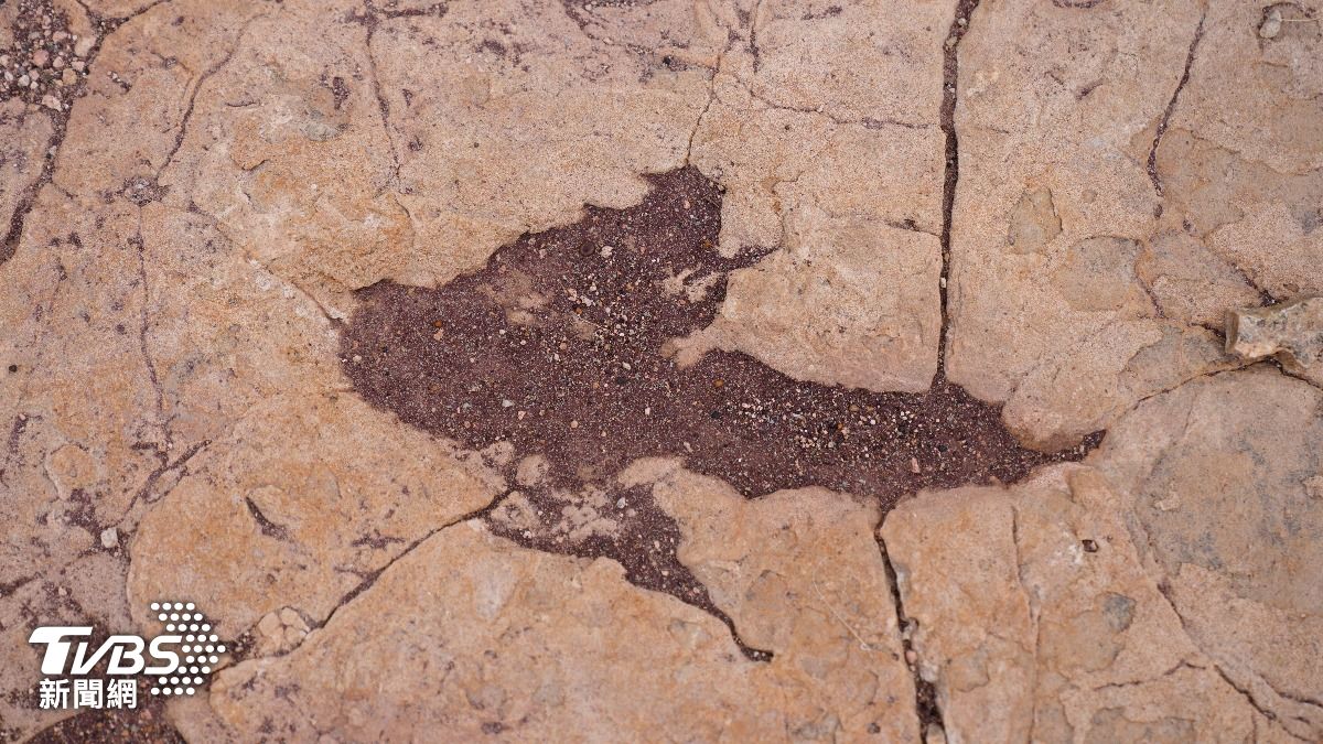 玻利維亞現萬枚恐龍腳印　「走高速公路」與游泳百米痕跡曝光