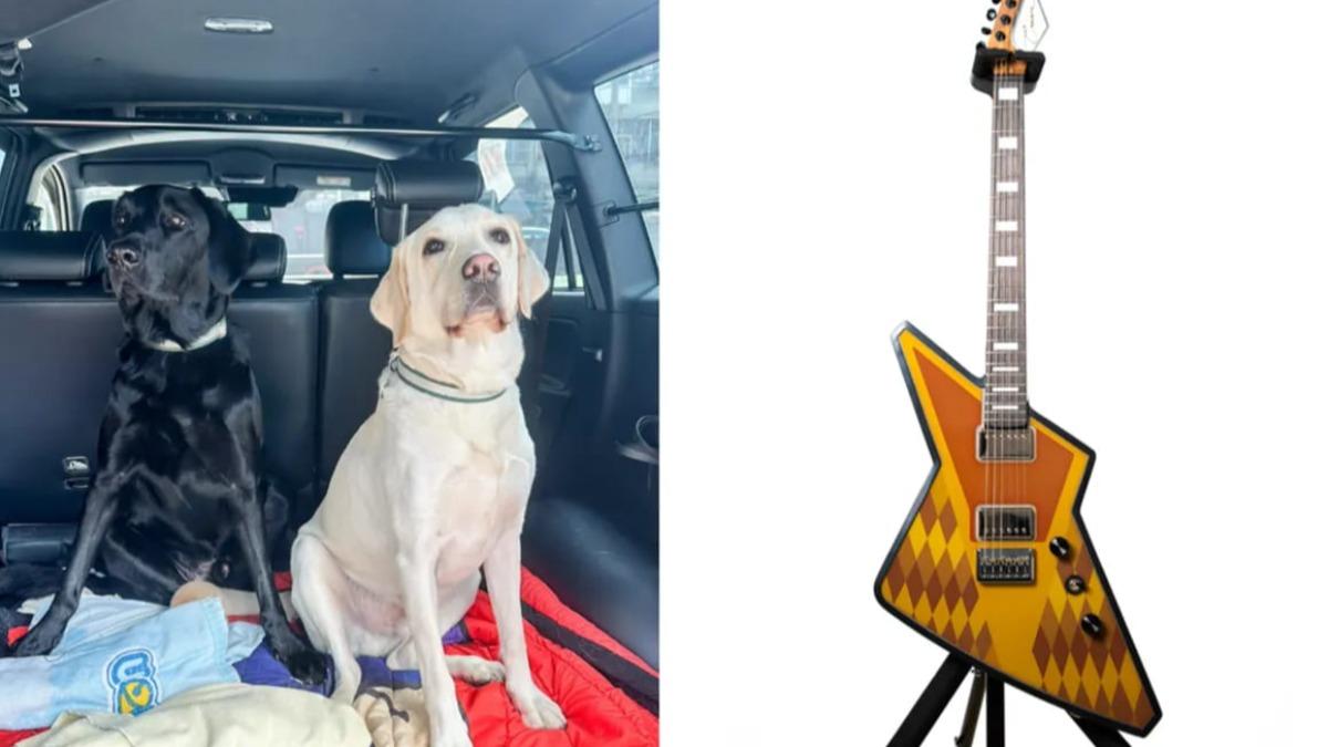 11月永續聲量榜出爐!電子紙做吉他 上市上櫃前五名現新面孔