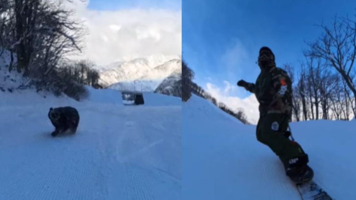 日本滑雪選手雪場自拍 熊後方突襲狂奔、離超近追逐畫面曝