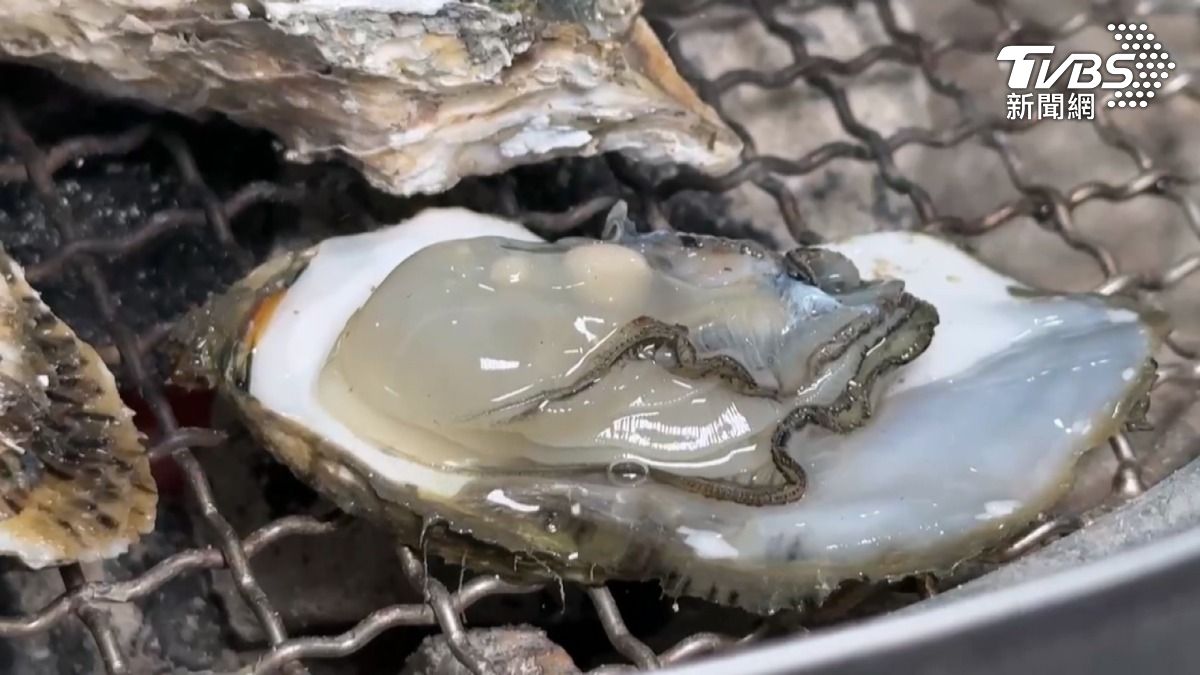 烤蚵「平日不限時」吃到飽！產季已過　數量少價格高