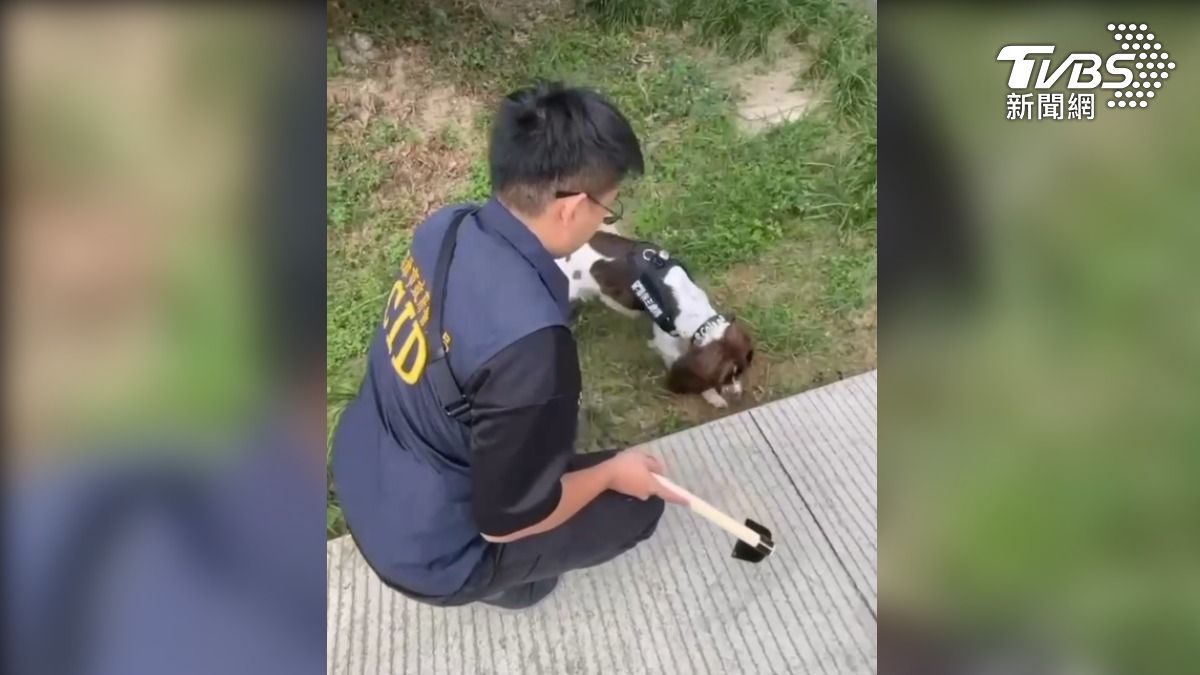 汪汪隊立大功! 毒販「毒藏土內」 牠嗅出加碼幫挖土