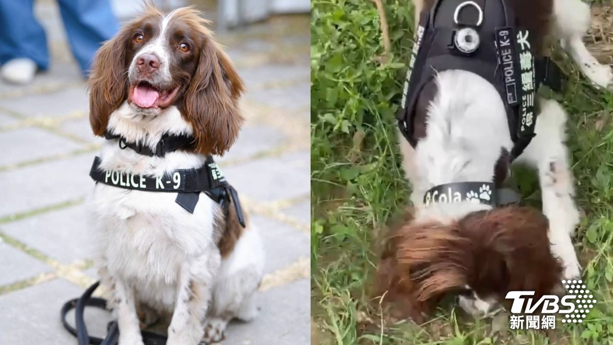 毒品交易沉浸式體驗?高雄毒販公園埋太多忘了在哪 緝毒犬挖出