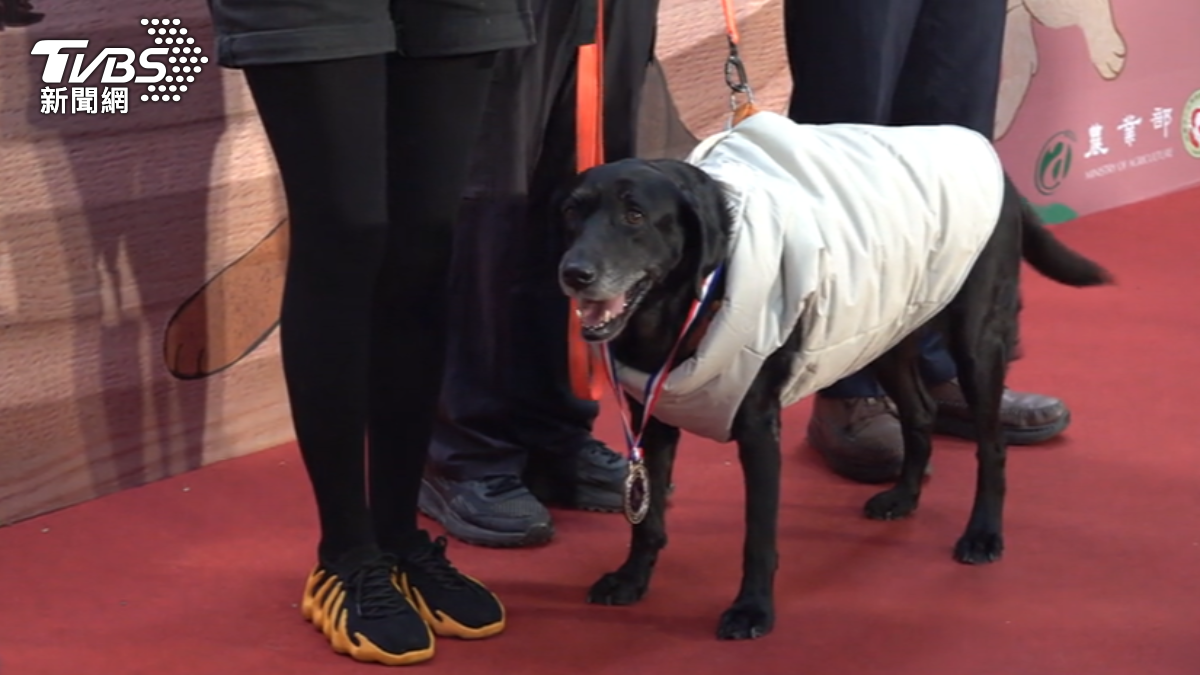 「國家汪汪隊」28支退役! 農業部宣布:全面納保!