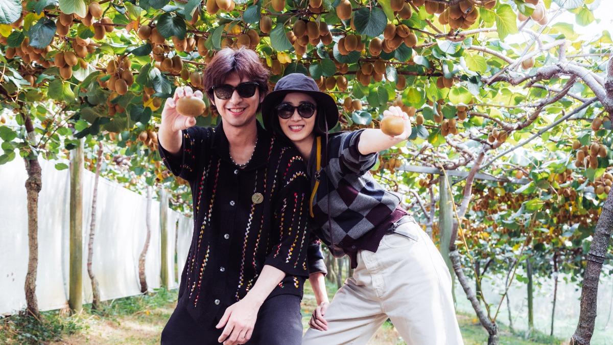 桂綸鎂嗨喊「我好像懷孕了」!肚裡全是「金色寶寶」 離開台灣當果農