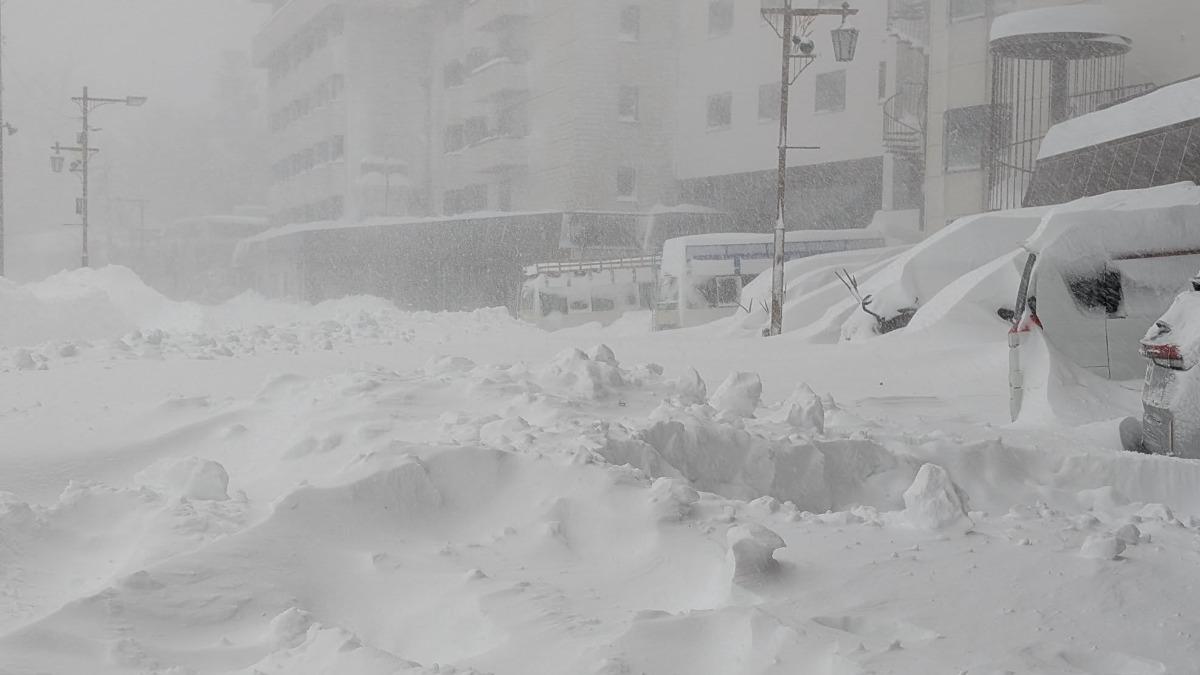 台灣遊客雪中救援日駕駛!季芹機票泡湯 北海道百班航班全停飛