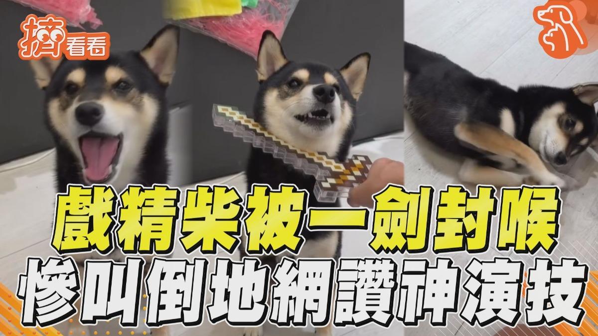 影音/戲精柴被「一劍封喉」秒慘叫 倒地陣亡「超神演技」網狂讚