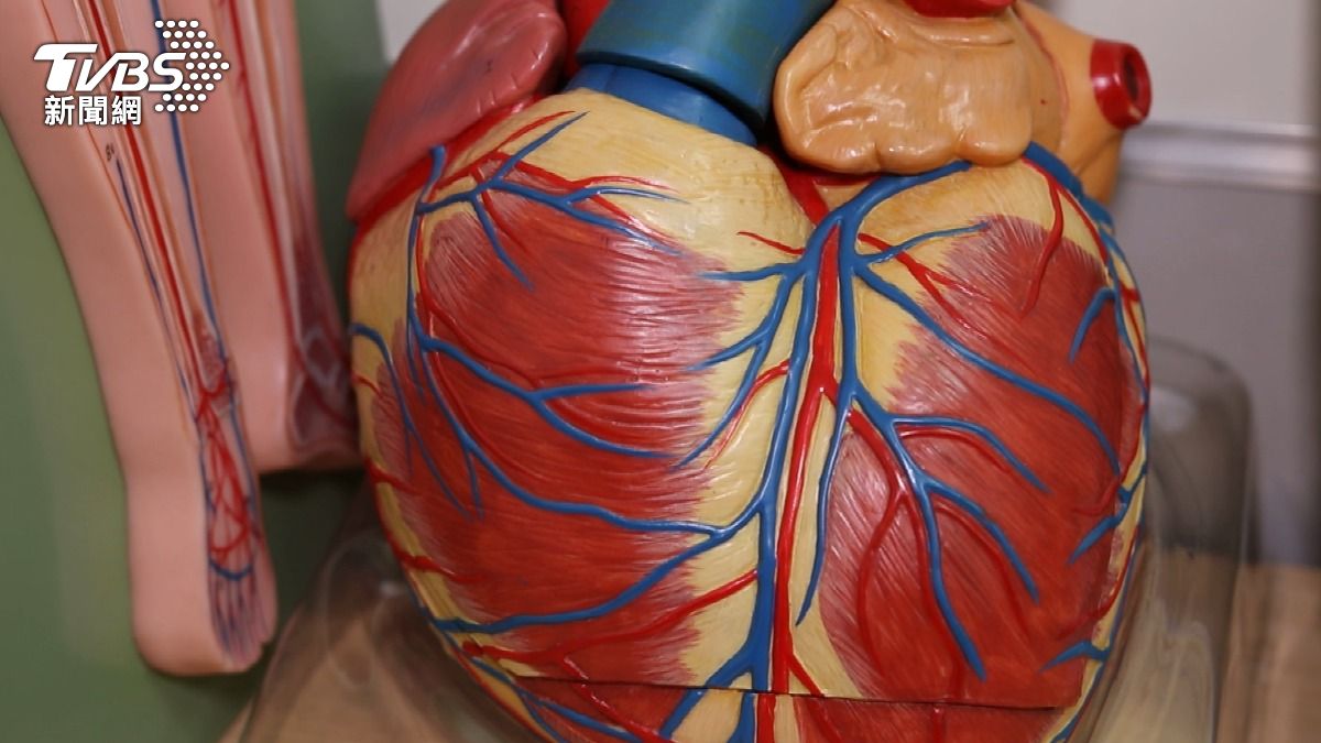 感冒後胸悶、心悸別硬撐!病毒性心肌炎盯上「這類人」! 高風險族群與警訊一次看懂