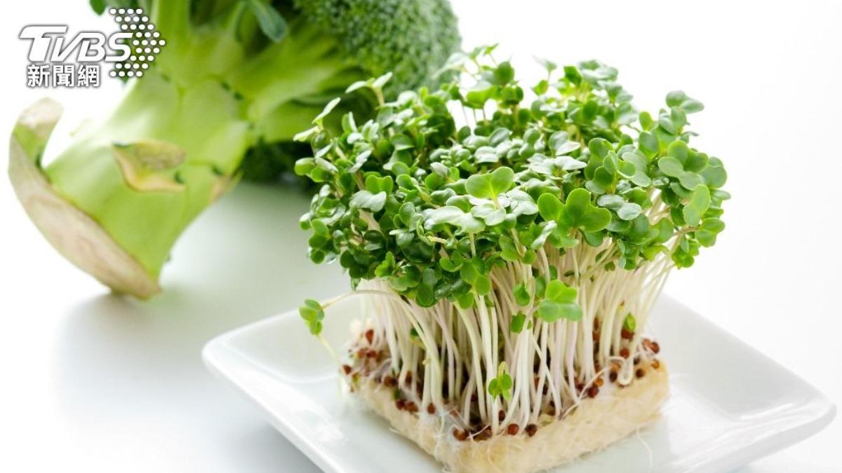 護肝抗發炎更猛!「青花椰苗」營養勝抗癌之王 1成分高數十倍
