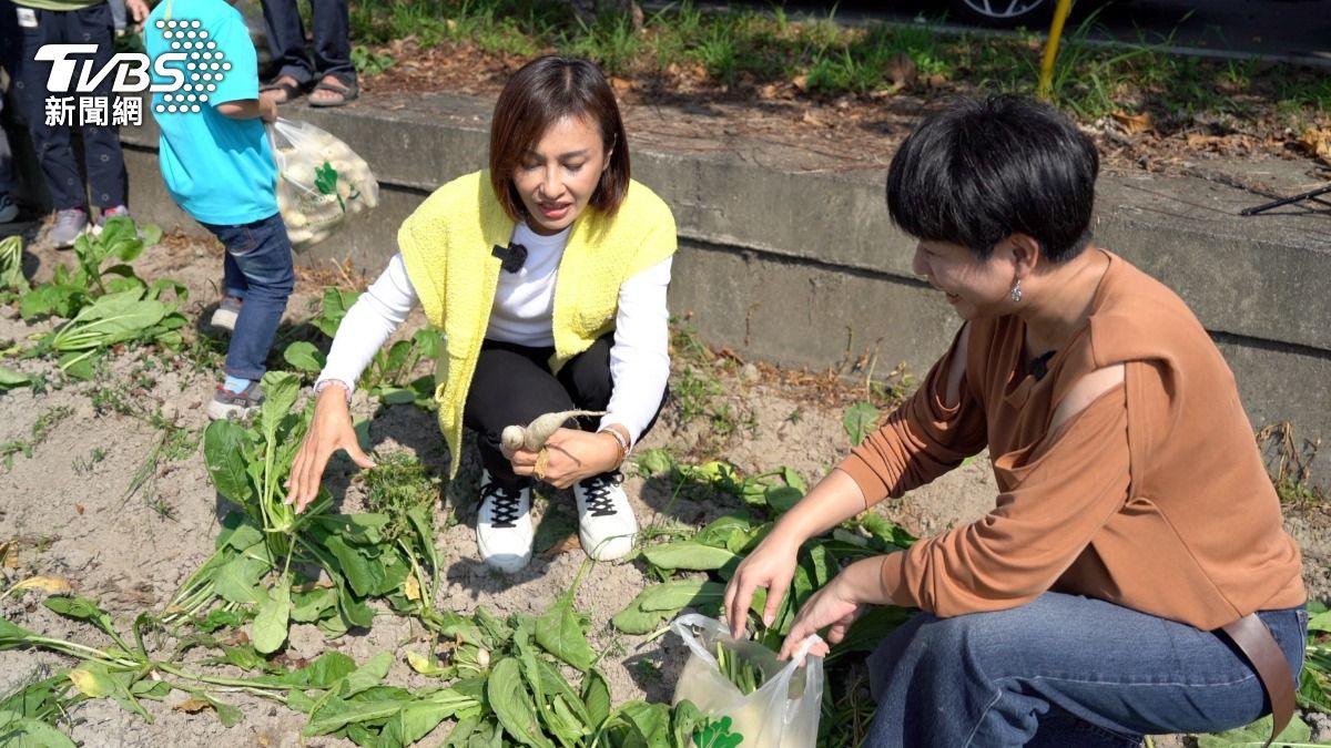 佳頴T政步/白玉蘿蔔翻轉的十年 也在翻轉邱議瑩被看見的方式