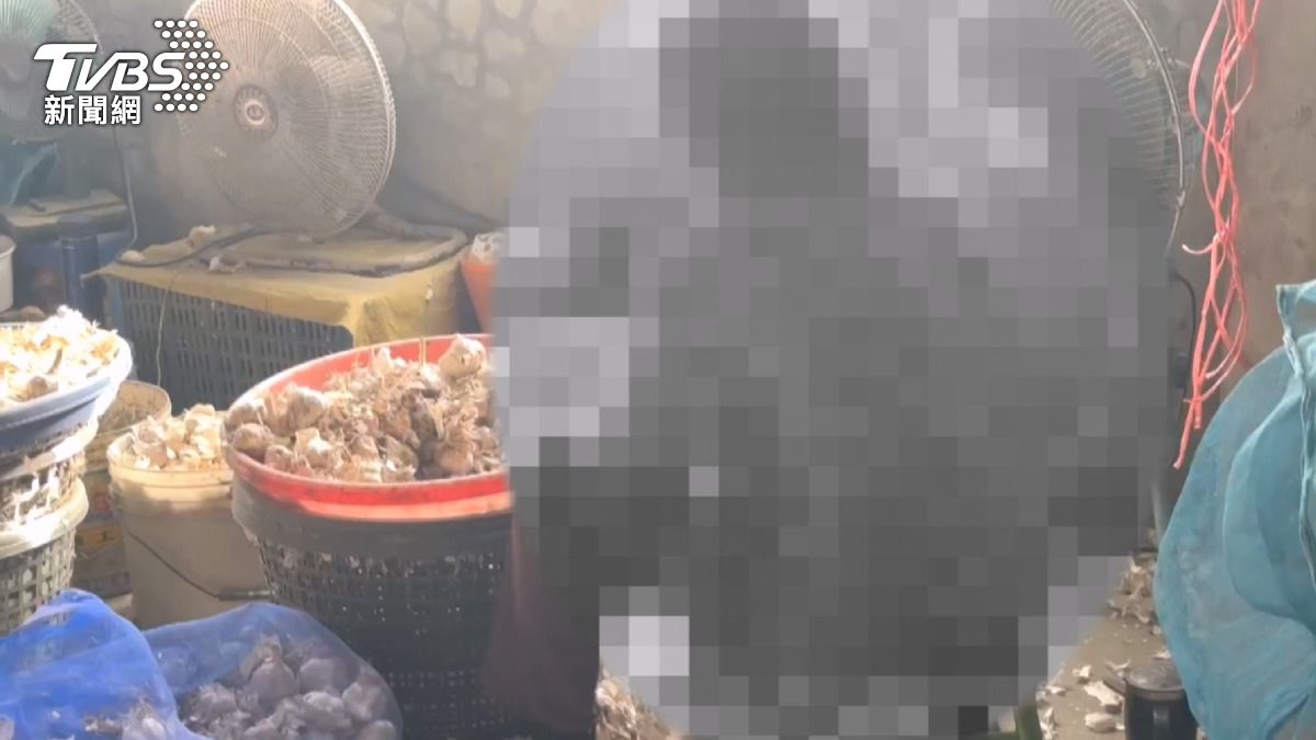 剝蒜養26歲啃老孫!阿嬤月入不到2萬 孫「拿不到錢施暴」嬤仍護短