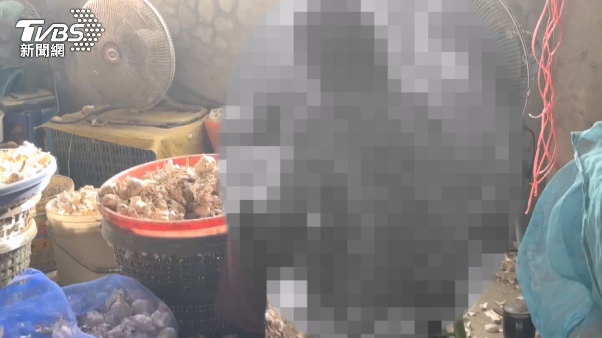 圖／剝蒜頭養26歲啃老孫！阿嬤月入不到2萬　「拿不到錢施暴」仍護短。(TVBS 提供)