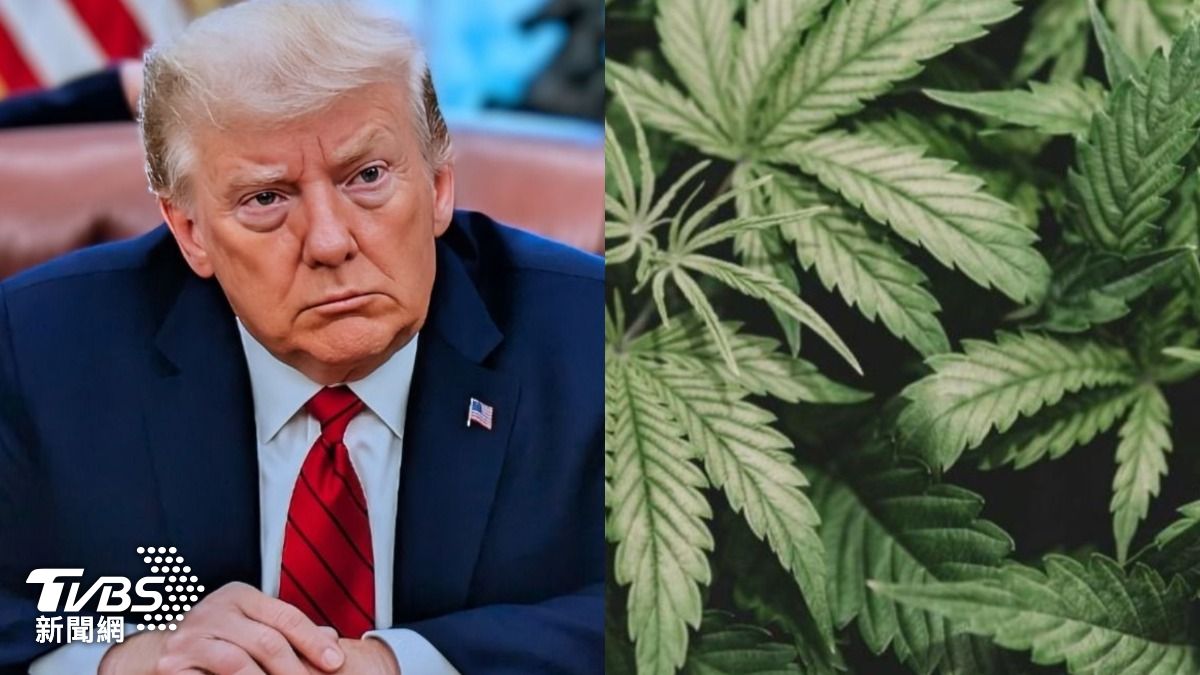 川普簽署行政命令 調降大麻管制級別、放寬醫療研究