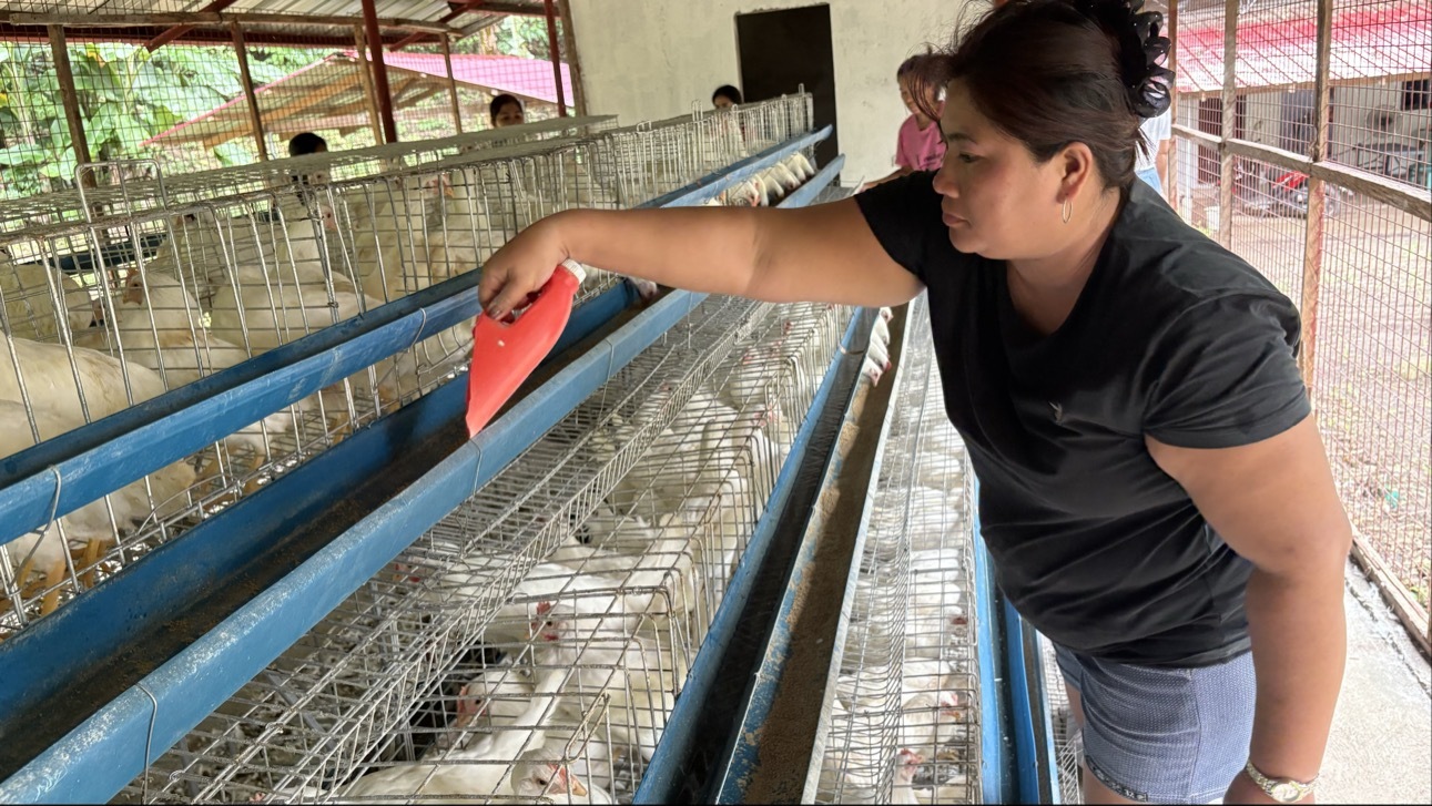 菲律賓災後重建再前進 家扶中心建雞舍助永續經濟