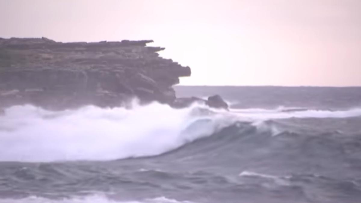 澳洲元旦悲劇!中國女雪梨海灘「被浪捲走」身亡 另一處泳客失蹤