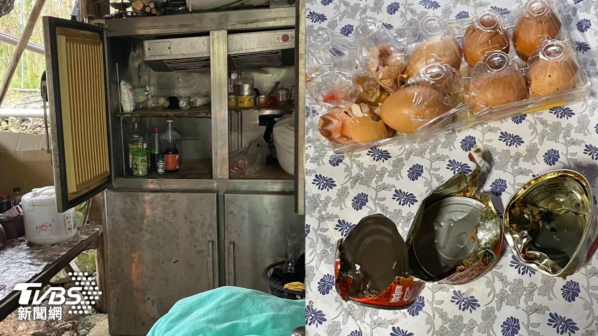 阿里山首見！「臺灣黑熊」闖工寮　聰明開冰箱爽嗑食物還開罐頭