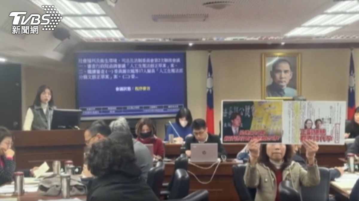 綠嗆「陳九條」 陳昭姿舉牌:正副總統支持代孕