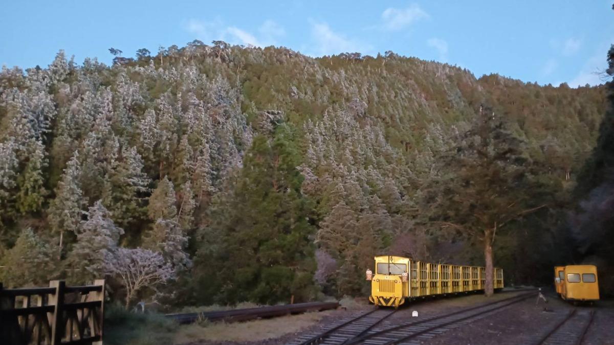 圖／太平山雖未下雪，不過霧淞美景仍相當迷人。（TVBS 提供）