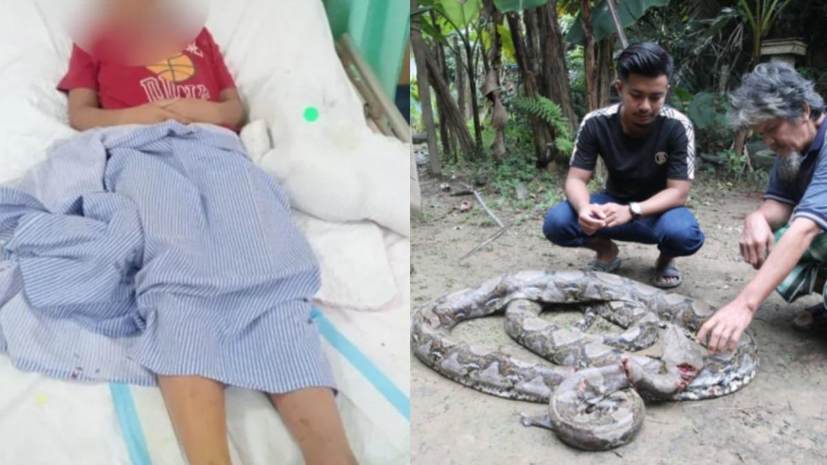 生死搏鬥!大馬童遭6米巨蟒纏頸咬腿 家人奮力搶拉冒險撬開蛇嘴