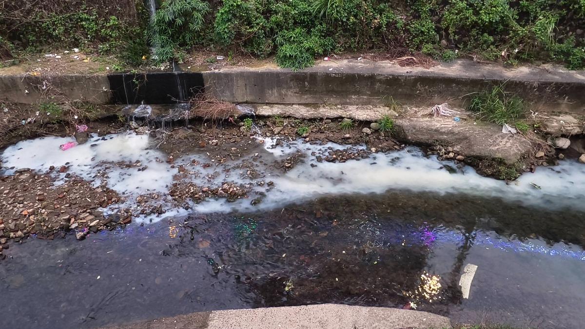 五股坑溪水變綠 新北揪出裝修行排清洗油漆水污染