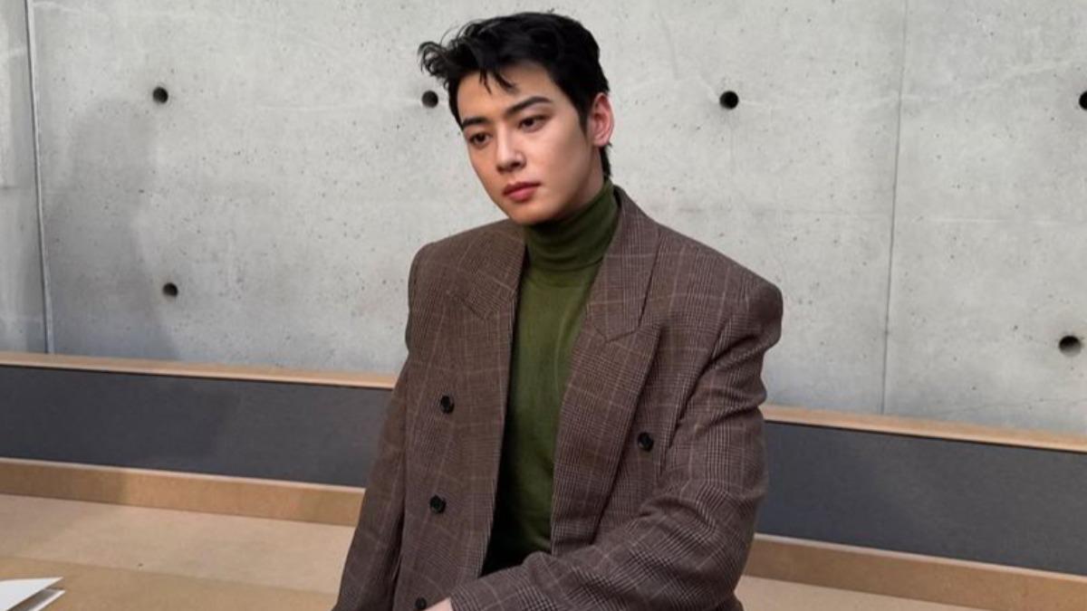 驚爆逃漏稅200億韓元！車銀優「紙上公司」手法曝光新韓銀行、品牌火速切割│TVBS新聞網