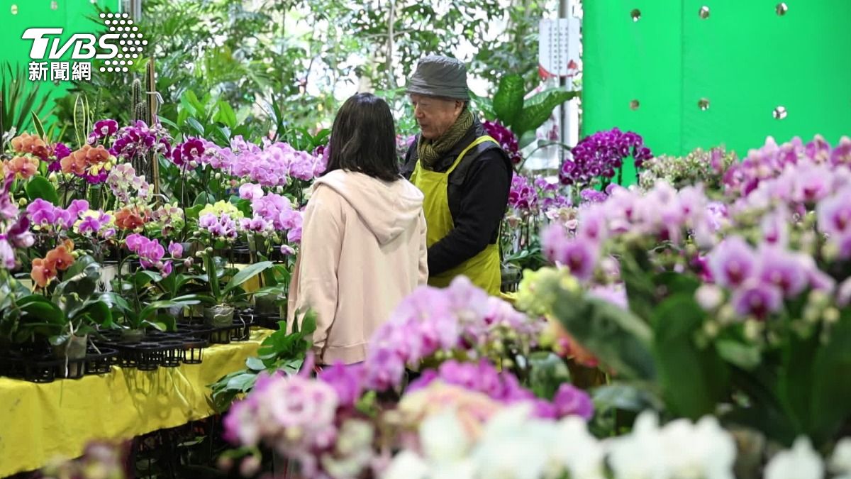 園藝治療成顯學!擁抱綠色療癒五感 「拈花惹草」助身心健康