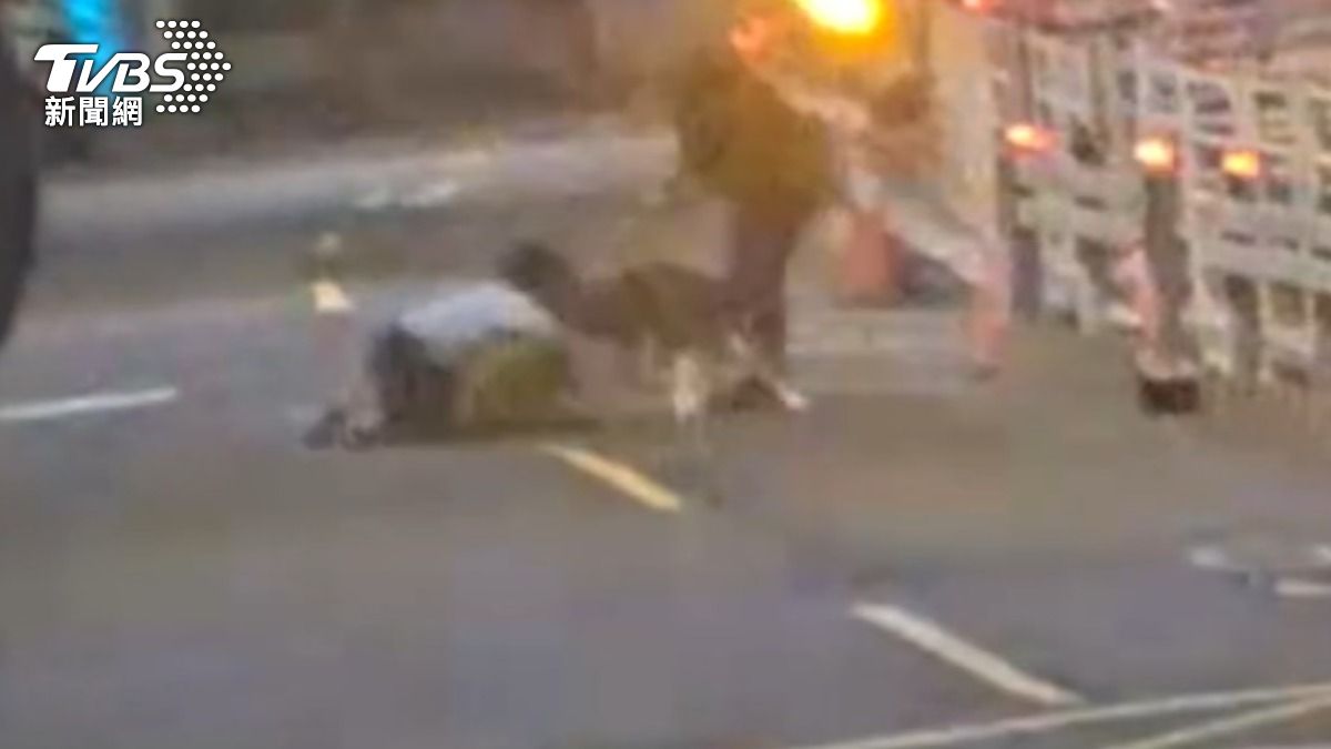 怕!養狗不繫繩頻傳咬人、咬狗「屢勸不聽」 飼主反嗆:閒到沒事做?