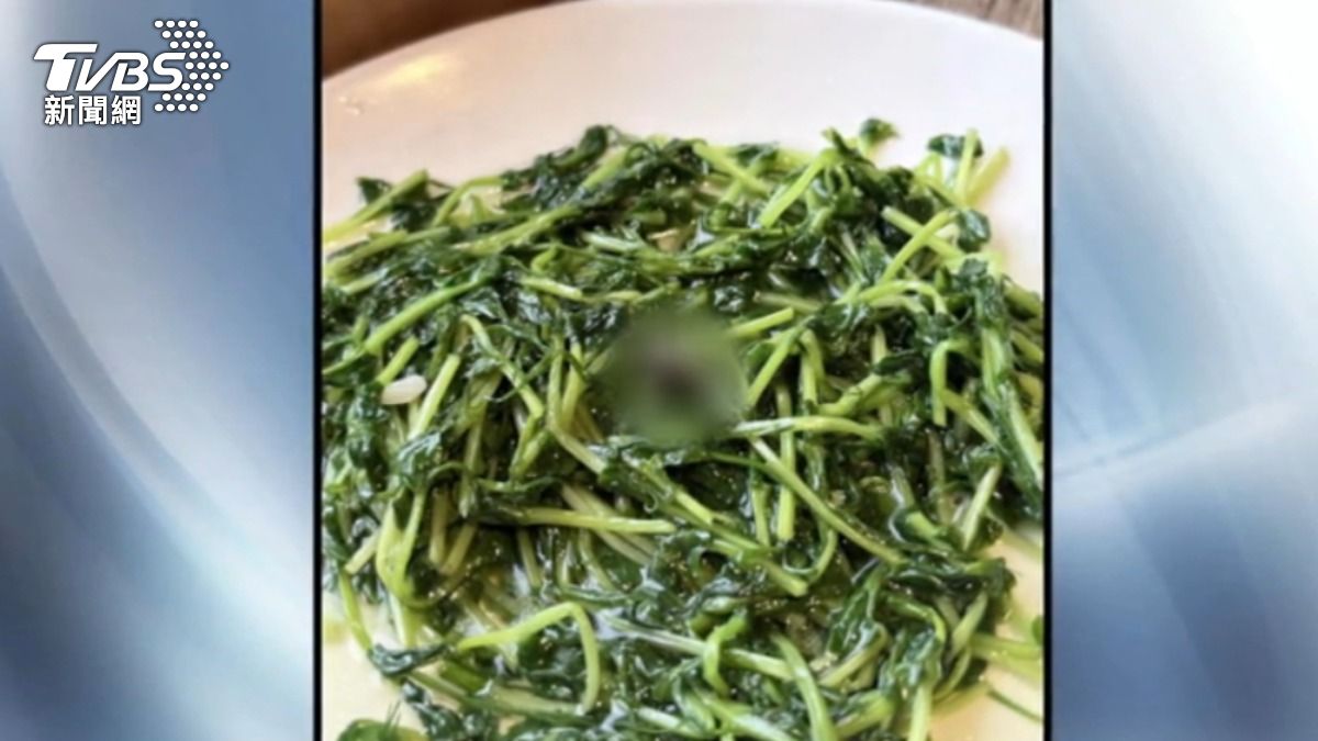 北市知名港式餐廳驚見蟑螂!客反胃乾嘔 店員竟問:要甜湯漱口嗎