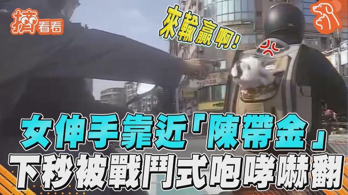 影音/女伸手靠近「陳帶金」 下秒突被「戰鬥式咆哮」挫幾丟