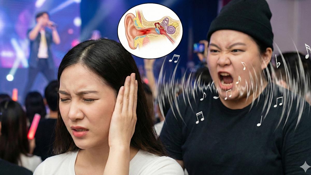 演唱會遇粉絲貼耳尖叫!回家「暫時性失聰」 醫曝1隨身小物可減傷