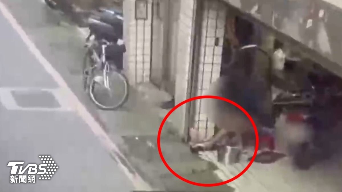 悚!新店男家門口「宰殺果子狸」民眾嚇壞報警 動保處怒發聲