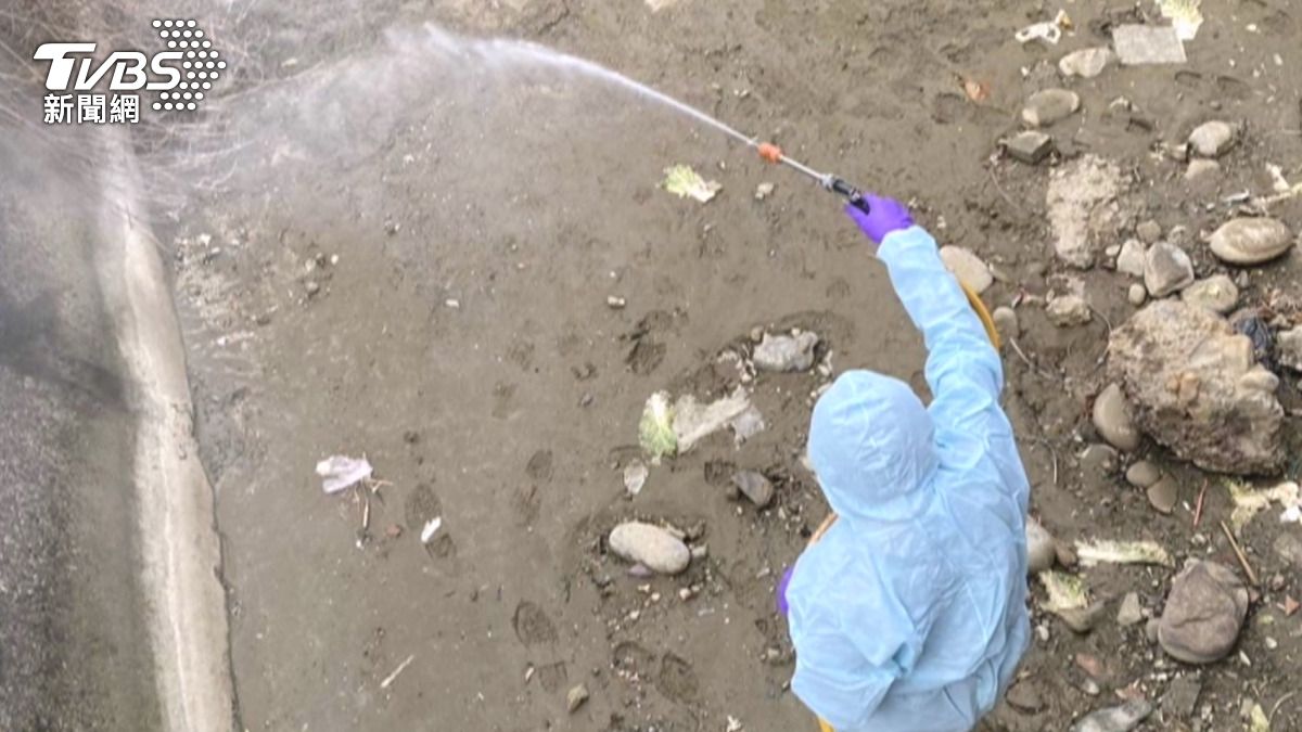 「屍蛋同車」亂埋2359死雞 黑心牧場負責人遭求重刑