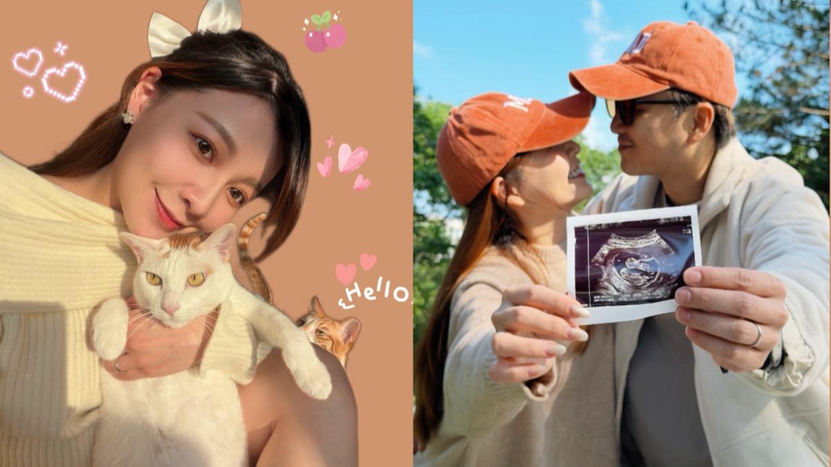 謝京穎懷雙胞胎!曝孕期神奇1變化 甜讚家中愛貓:超有靈性