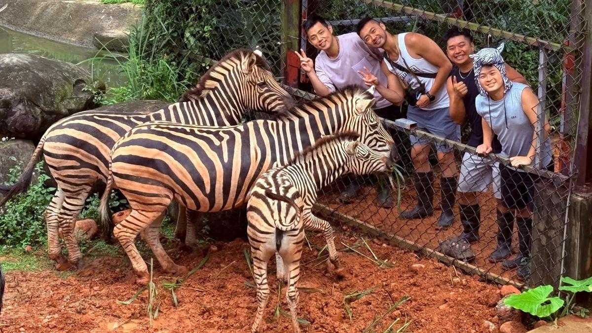 姓名有「馬」享優惠!中3個免費住六福莊 IKEA爽換肉丸主餐