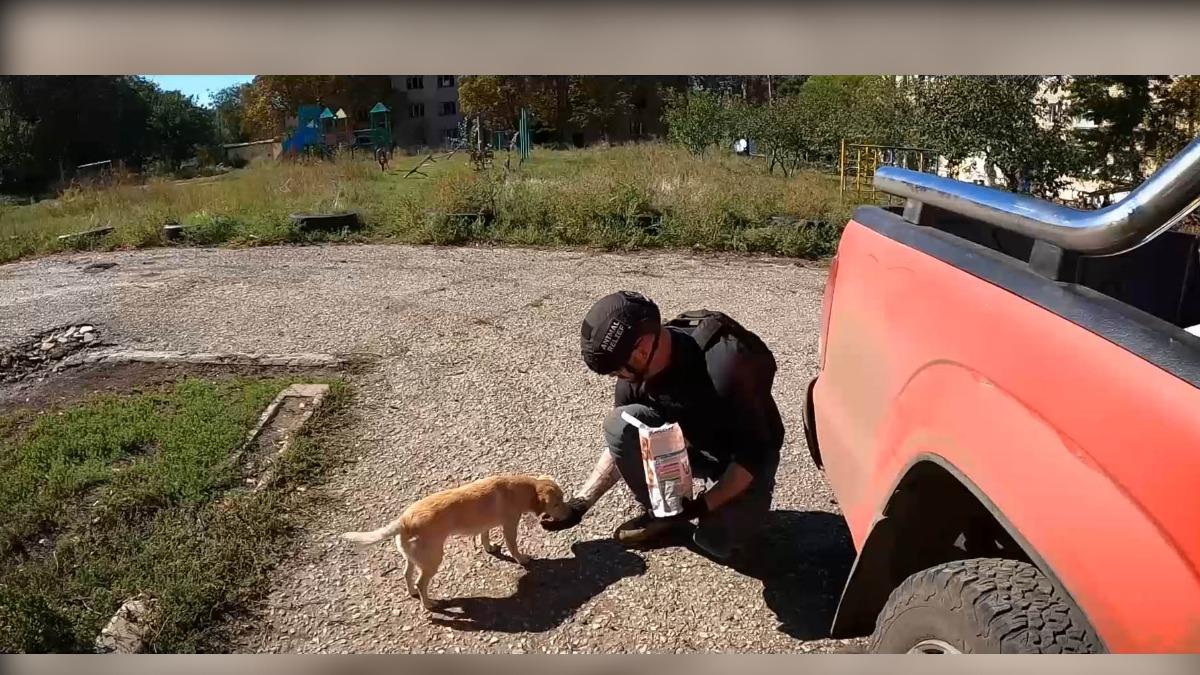 日導演赴烏戰區 紀錄毛孩救援 無償授權 揚戰爭光輝