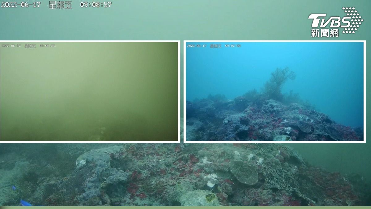 AI水下監測預測系統問世!準確度近百分百 潛水安全大提升