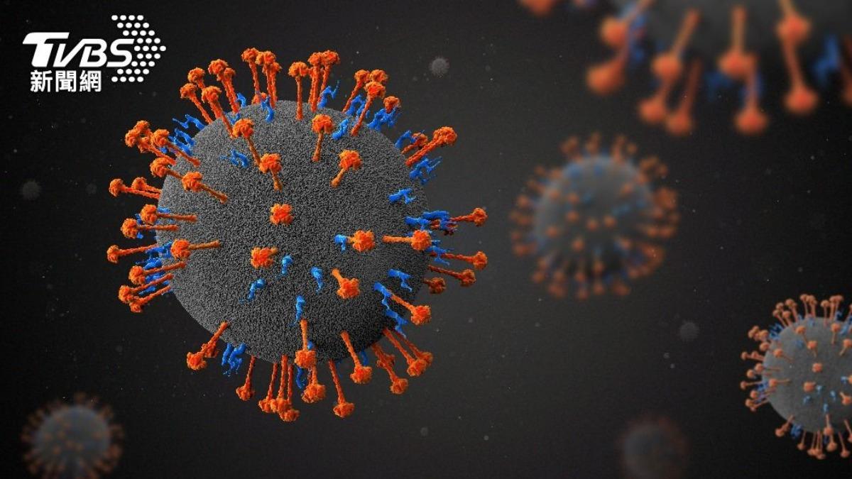 致死率75%!印度爆立百病毒 營養師點名「8食物」提升免疫力