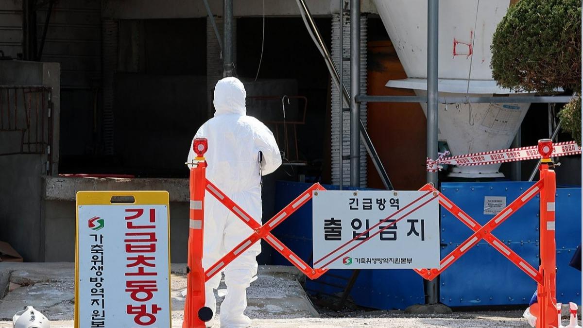 南韓口蹄疫時隔9個月再爆發 仁川農場急封鎖、升最高警戒