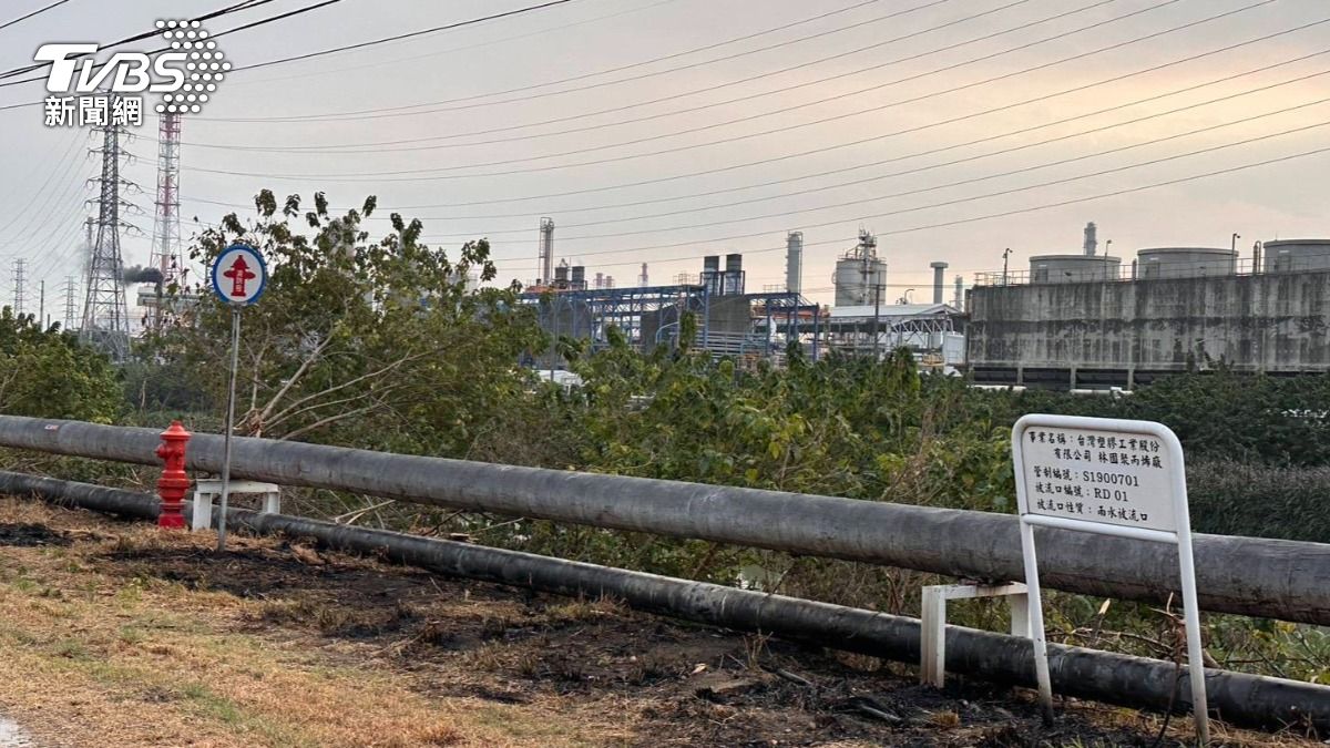 抓綠鬣蜥誤觸高壓電「炸出火光」!高雄男險死 恐怖傷勢曝光