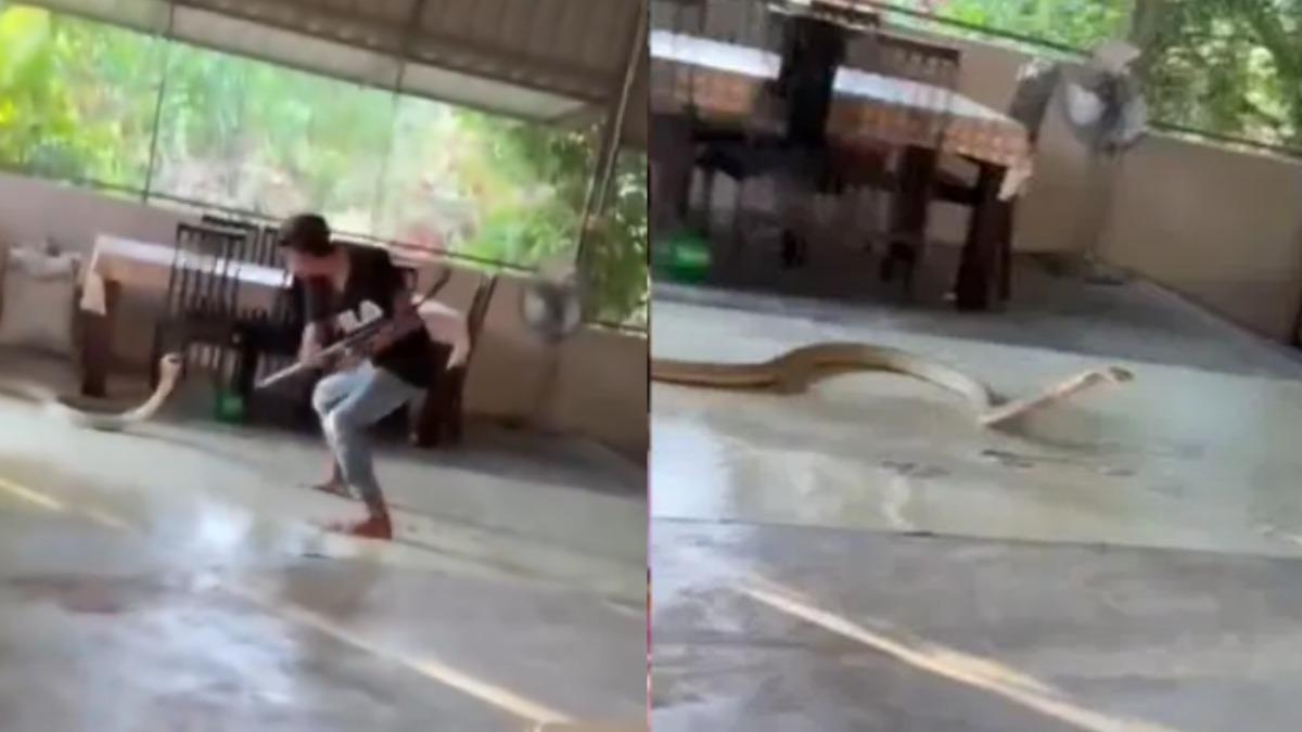 有片/大馬男持開山刀對峙眼鏡王蛇 「徒手抓蛇尾」女狂尖叫