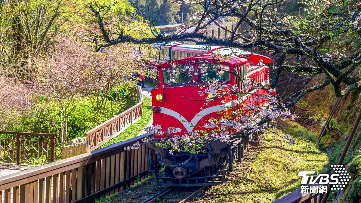 5天4夜破5萬！他怒喊「玩不起國旅」　網揭關鍵：是正常的