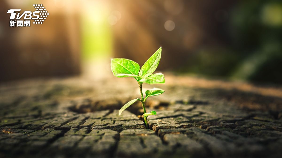 立春開運攻略！專家揭「3動作」旺整年：吃對食物迎春財