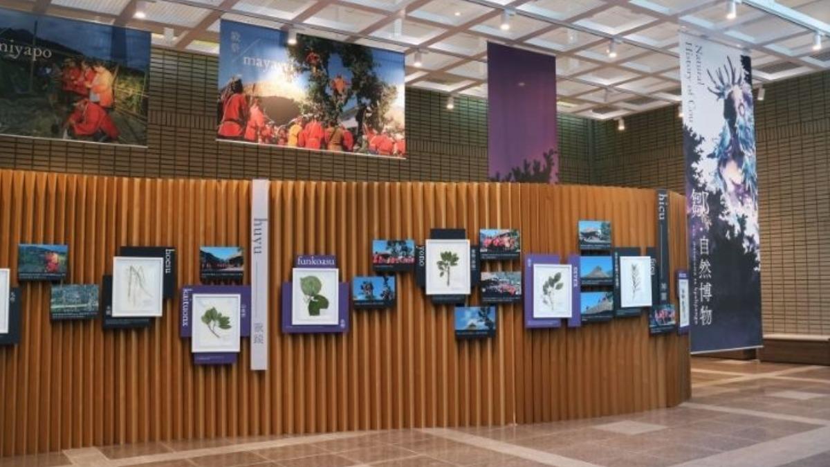 What to see at Taichung science museum during Lunar New Year