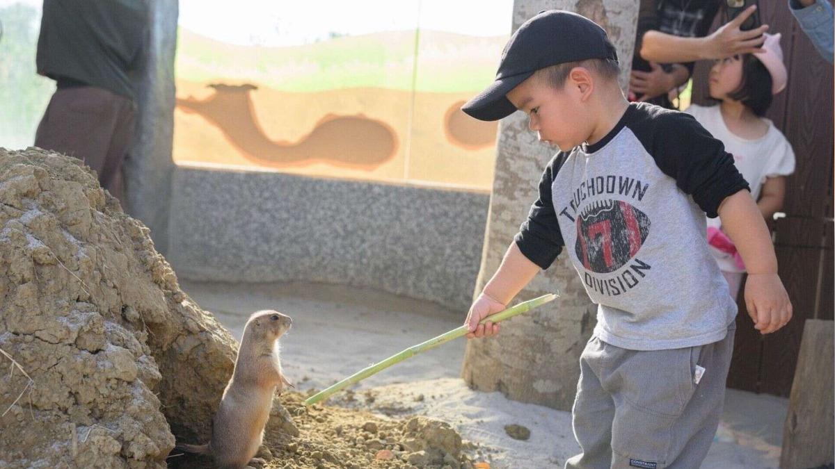 Kaohsiung opens Yessen Animal School for trial operation