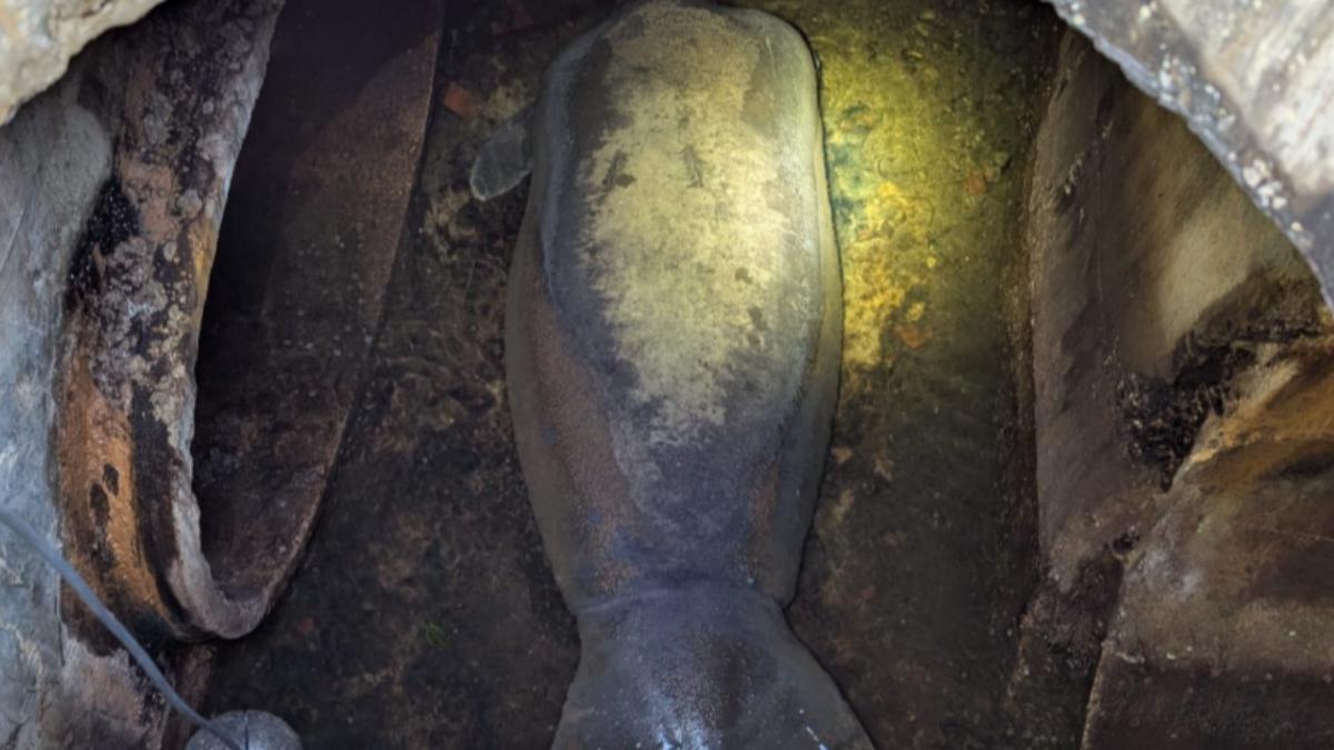 ��ţ�ѻ�ȡ� ��ͼ/����x@accuweather��