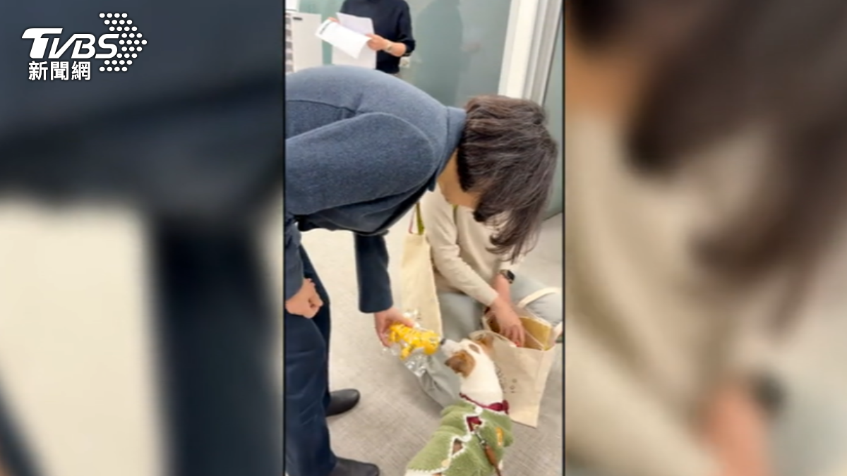 影音/蔡英文收陳其邁超大提燈驚呆 初一合體蘇巧慧拚新北選情