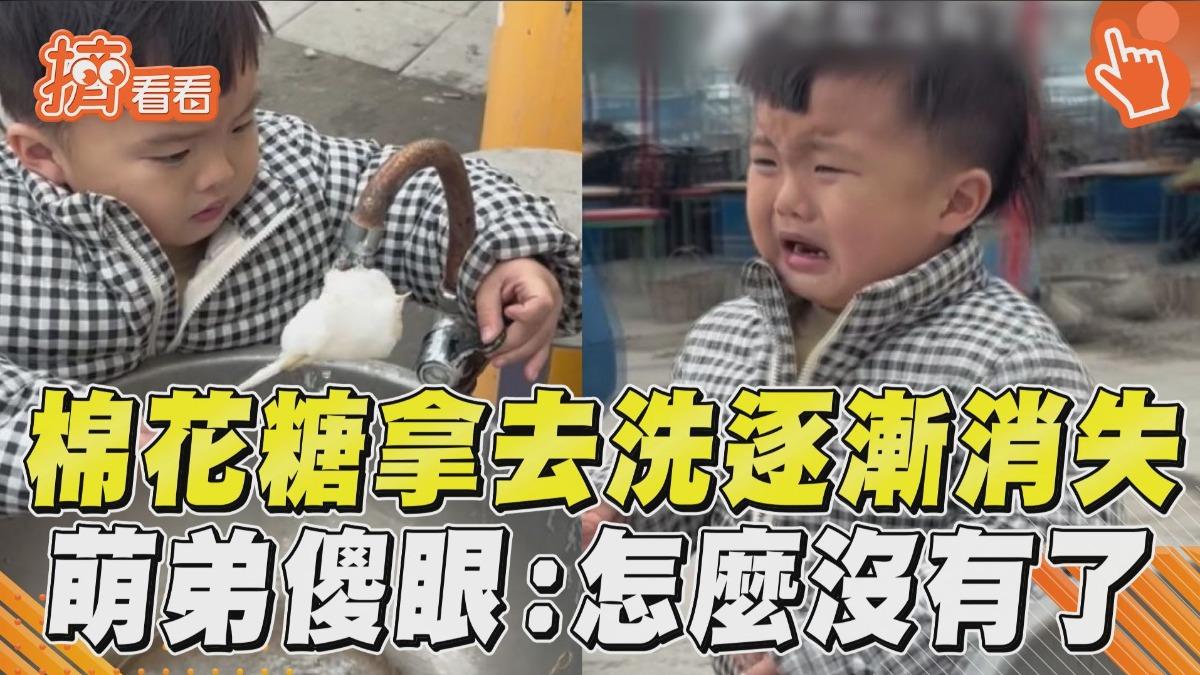 影音/萌弟見「棉花糖掉地板」拿去洗 下秒傻眼崩潰:怎麼沒有了