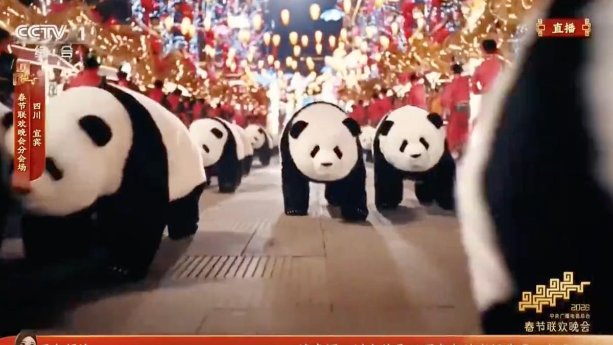 全球首次!陸春晚驚見上百台「機器熊貓」同時登場 背後原理曝