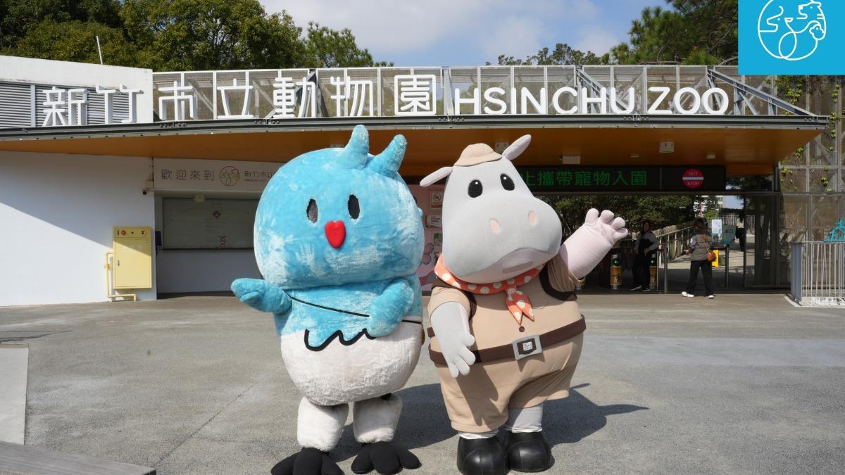 春節不打烊!新竹市立動物園「超萌小春聯」免費拿 主題亮點曝